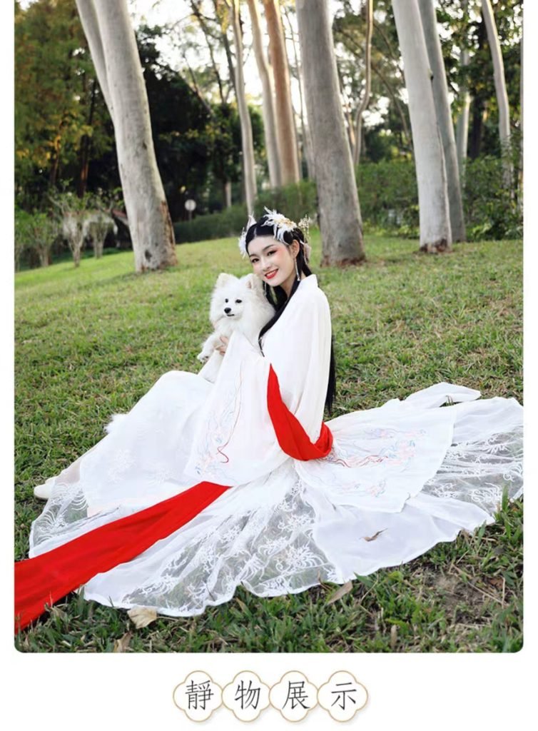 Chinese traditional clothing female Hanfu