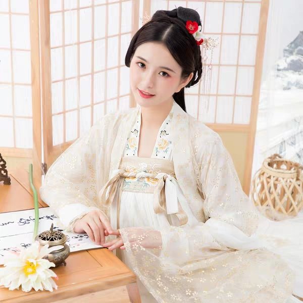 ming dynasty hanfu