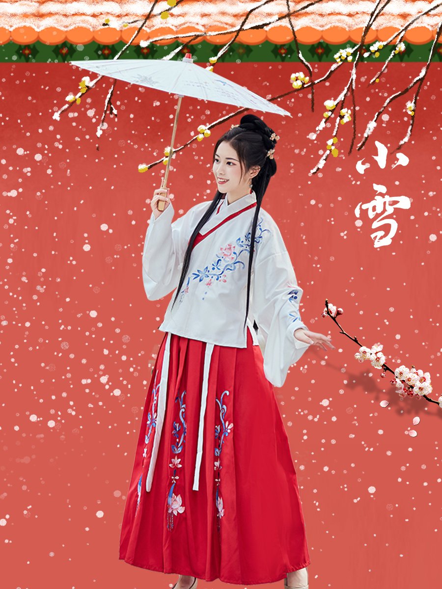 Hanfu Costume Set - Image 4