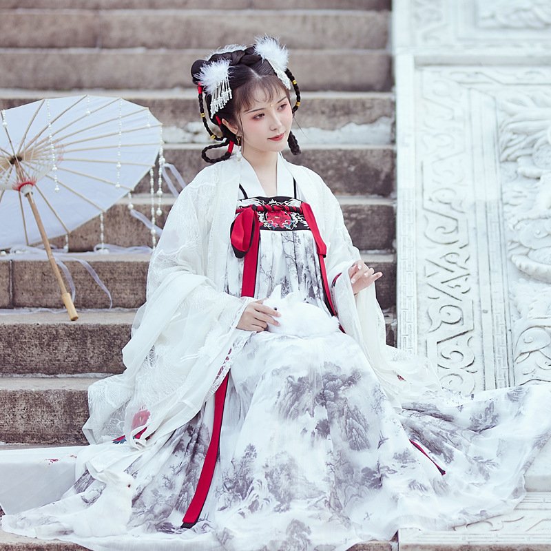 northern wei dynasty hanfu