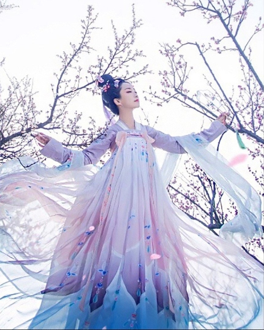 New Hanfu Female Bodhi Snow Costume Fairy - Image 4