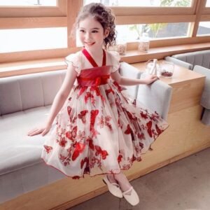 Embroidered Hanfu Student Mesh Princess Dress
