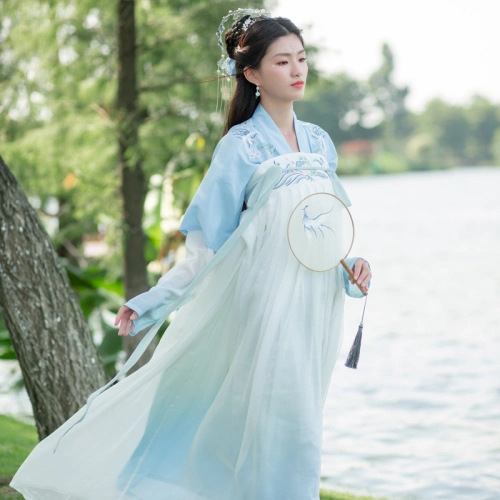 Tang Dynasty Hanfu