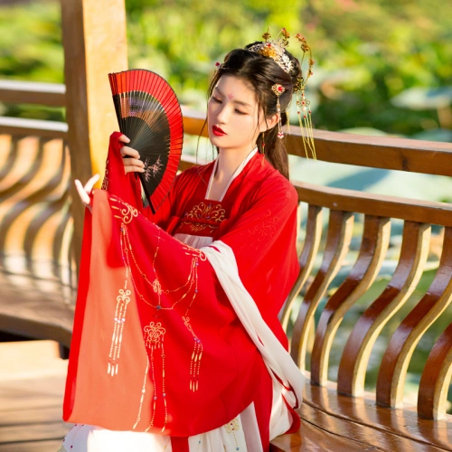 Wei-Jin Style Hanfu
